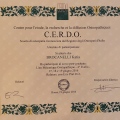 Ingrandire l'immagine: certificate 11