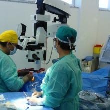 Ingrandire l'immagine: Interventi Cataratta, oculista Gemona del Friuli