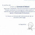 Ingrandire l'immagine: certificate 22