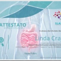 Ingrandire l'immagine: certificate 4
