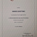 Ingrandire l'immagine: certificate 3