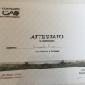 Ingrandire l'immagine: certificate 9
