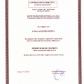 Ingrandire l'immagine: certificate 3