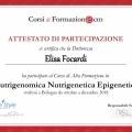 Ingrandire l'immagine: certificate 1
