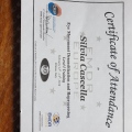Ingrandire l'immagine: certificate 2