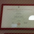 Ingrandire l'immagine: certificate 2