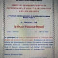 Ingrandire l'immagine: certificate 10