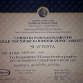 Ingrandire l'immagine: certificate 1