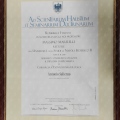 Ingrandire l'immagine: certificate 1