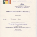 Ingrandire l'immagine: certificate 4