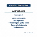 Ingrandire l'immagine: certificate 11