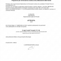 Ingrandire l'immagine: certificate 1