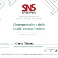 Ingrandire l'immagine: certificate 8
