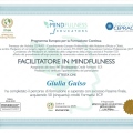 Ingrandire l'immagine: certificate 2