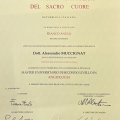 Ingrandire l'immagine: certificate 6