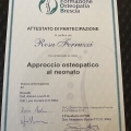 Ingrandire l'immagine: certificate 1