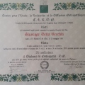 Ingrandire l'immagine: certificate 2