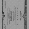 Ingrandire l'immagine: certificate 1