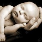 Dr. Venanzio Signorino