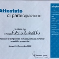 Ingrandire l'immagine: certificate 31