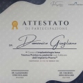 Ingrandire l'immagine: certificate 8
