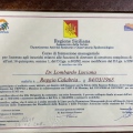 Ingrandire l'immagine: certificate 3