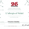 Ingrandire l'immagine: certificate 9