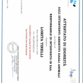 Ingrandire l'immagine: certificate 6