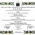 Ingrandire l'immagine: certificate 1