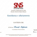 Ingrandire l'immagine: certificate 9