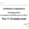 Ingrandire l'immagine: certificate 1