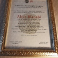 Ingrandire l'immagine: certificate 4
