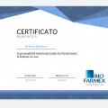 Ingrandire l'immagine: certificate 17