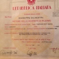 Ingrandire l'immagine: certificate 4