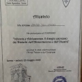 Ingrandire l'immagine: certificate 4