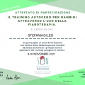 Ingrandire l'immagine: certificate 3