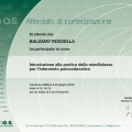 Ingrandire l'immagine: certificate 5