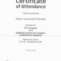 Ingrandire l'immagine: certificate 25