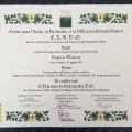 Ingrandire l'immagine: certificate 1
