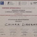 Ingrandire l'immagine: certificate 4