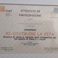 Ingrandire l'immagine: certificate 2
