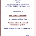 Ingrandire l'immagine: certificate 1