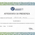 Ingrandire l'immagine: certificate 28