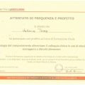 Ingrandire l'immagine: certificate 8