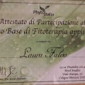 Ingrandire l'immagine: certificate 1