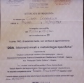 Ingrandire l'immagine: certificate 6
