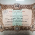 Ingrandire l'immagine: certificate 2