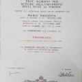 Ingrandire l'immagine: certificate 1