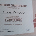 Ingrandire l'immagine: certificate 9