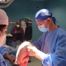 Ingrandire l'immagine: Tommaso De Fazio, ginecologo Crotone